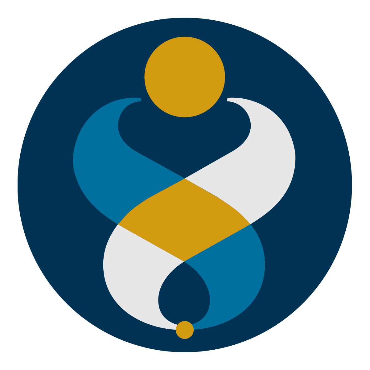 Synergy Multiservices. Expert Guidance. Human Care!